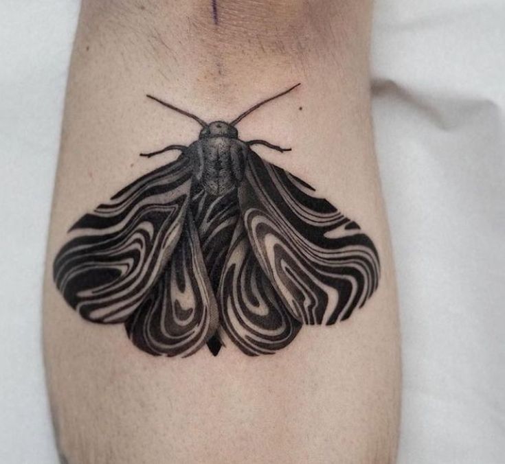 Moth abstract tattoo linework black and gray Small Blackwork Tattoo, Body Doodles, Black Work Tattoos, Moth Tattoos, Black Work Tattoo, Designs With Meaning, Random Tattoos, Moth Tattoo Design, Backpiece Tattoo