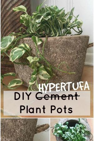 several different types of plants in pots with text overlay that reads hypertua diy cement plant pots