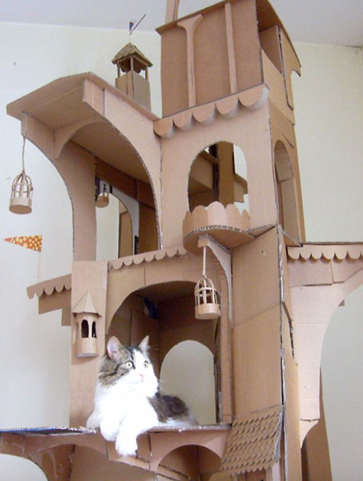 a cat sitting on top of a cardboard castle