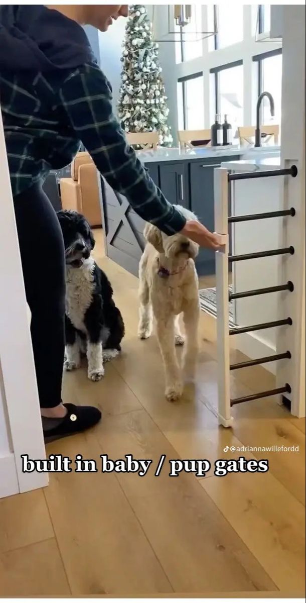 a woman petting two small dogs on the floor