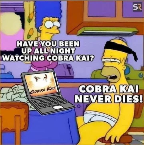 the simpsons is sitting in front of a laptop with caption that reads, have you been up all night watching cobra ka? cobra never dies