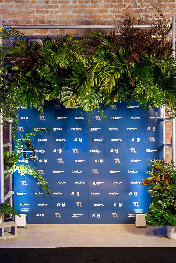 plants are growing on the wall in front of a blue backdrop that reads, planters