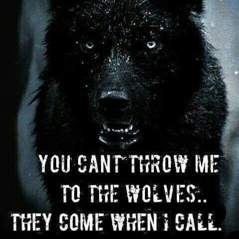 a black wolf with the words you can't throw me to the wolves they come when i call them