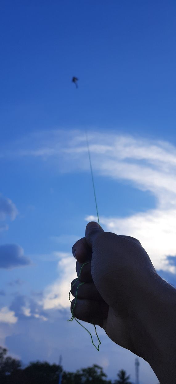 a person is flying a kite in the sky