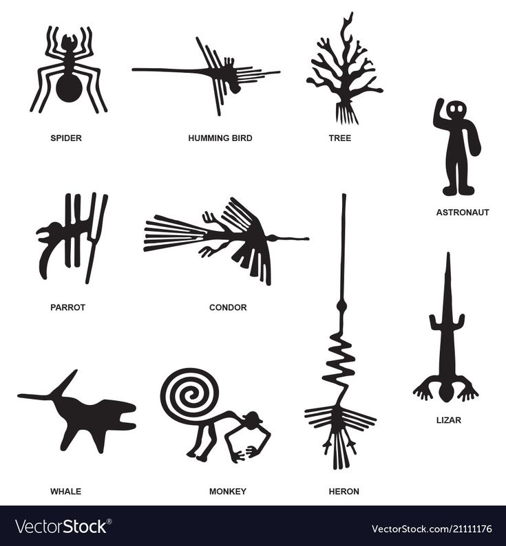 the silhouettes of different types of animals and plants