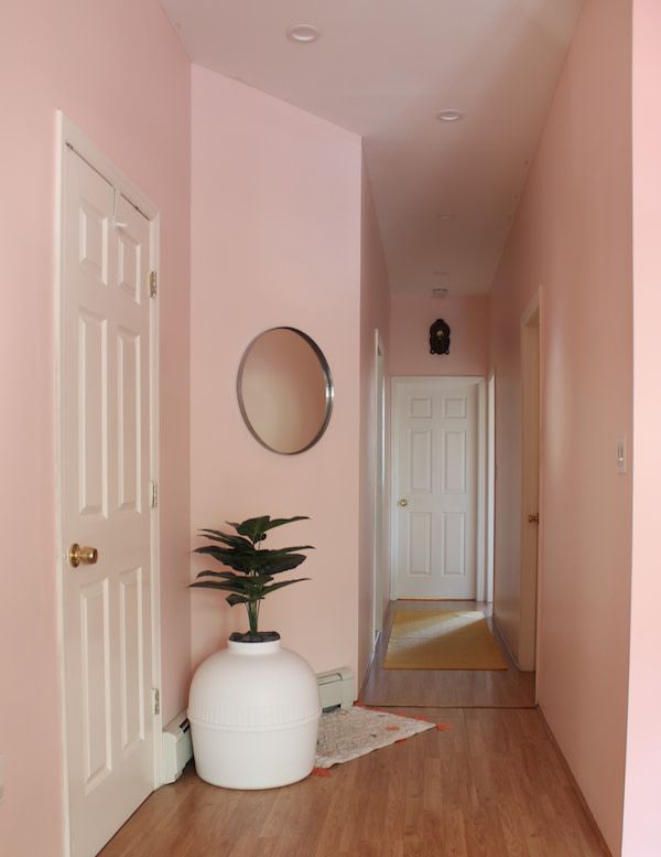 there is a potted plant on the floor in front of an open door and pink walls