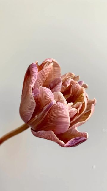 a pink flower is floating in the water