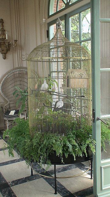 a bird cage sitting on top of a black and white checkered floor next to a window