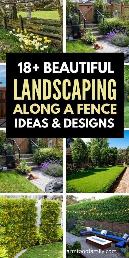 Fenced In Yard Landscaping Ideas, Trees Lining Fence Backyards, Backyard Landscaping Along Fence Line, Landscape Next To Fence, Flowerbeds Along Fence, Landscaping Backyard Fence Line, Gardens Along Fence Line, Landscape Near Fence, Backyard Landscaping By Fence