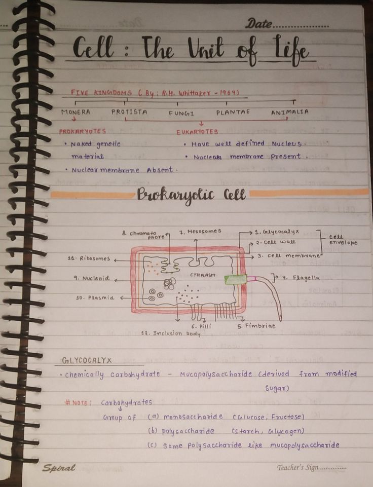 an open notebook with instructions on how to get the unit of life written in it