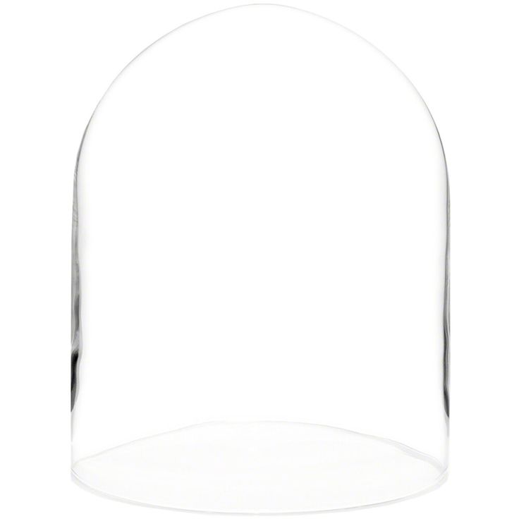 an empty glass dome on a white background