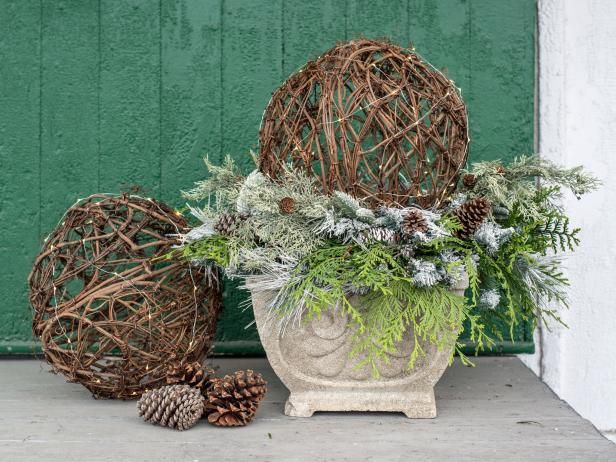 a potted plant sitting on top of a wooden floor next to two pine cones