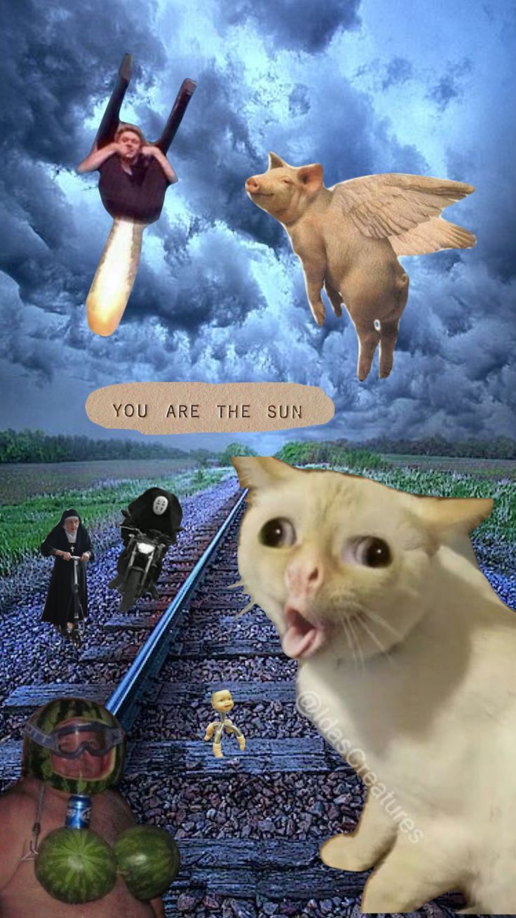 a cat is standing on the train tracks with other cats and dogs in the background