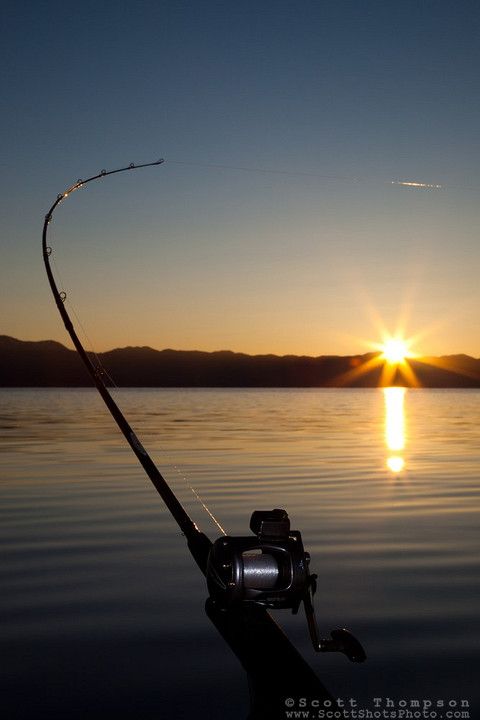 the sun is setting behind a fishing rod