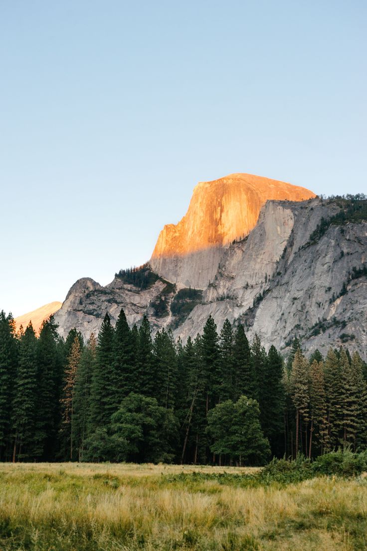 the mountains are covered in tall pine trees and yellow light from the sun shining on them