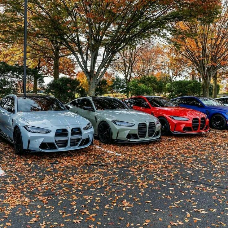 four different colored cars parked in a parking lot with leaves on the ground and trees behind them