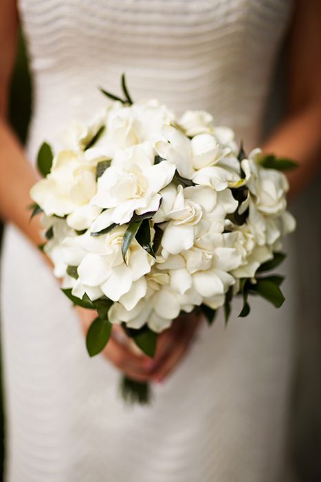 a bride holding a bouquet of white flowers