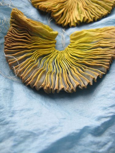 two yellow flowers are sitting on a blue table cloth, with thread in between them