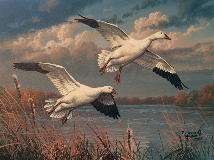 two white birds flying over a body of water