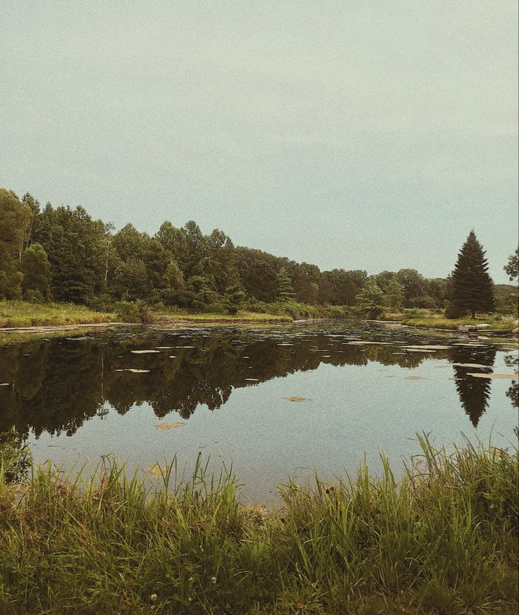 a lake surrounded by lush green grass and trees