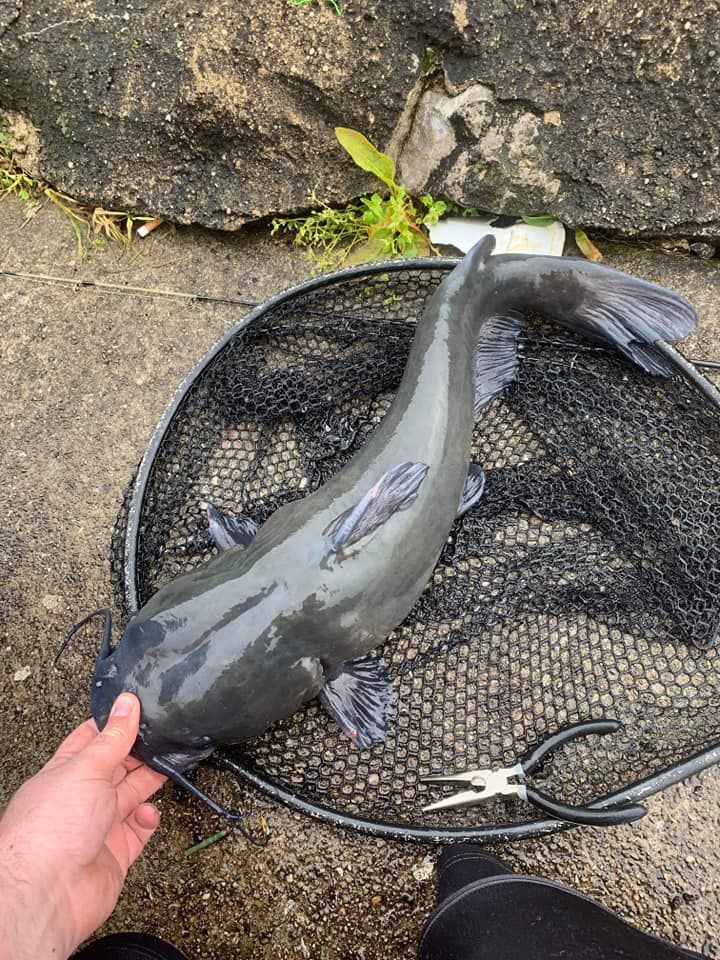 a fish that is laying on top of a mesh net next to someone's feet