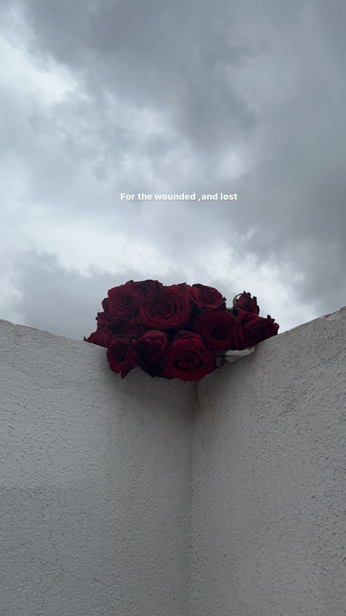 a bunch of red roses sitting on top of a white wall with the words for the wounded and lost above it