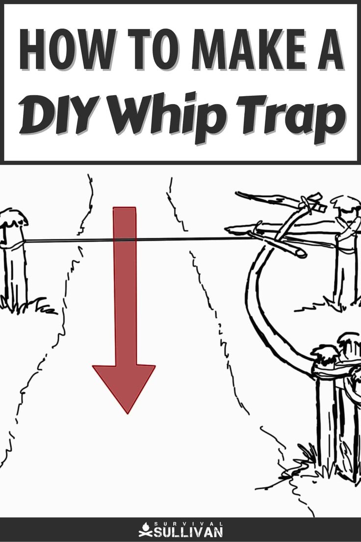 a sign that says how to make a dry whip trap