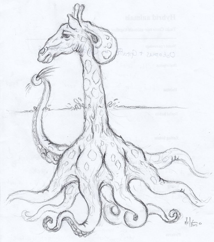 a pencil drawing of a giraffe with its head turned to look like an octopus