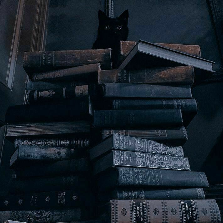 a black cat sitting on top of a pile of books