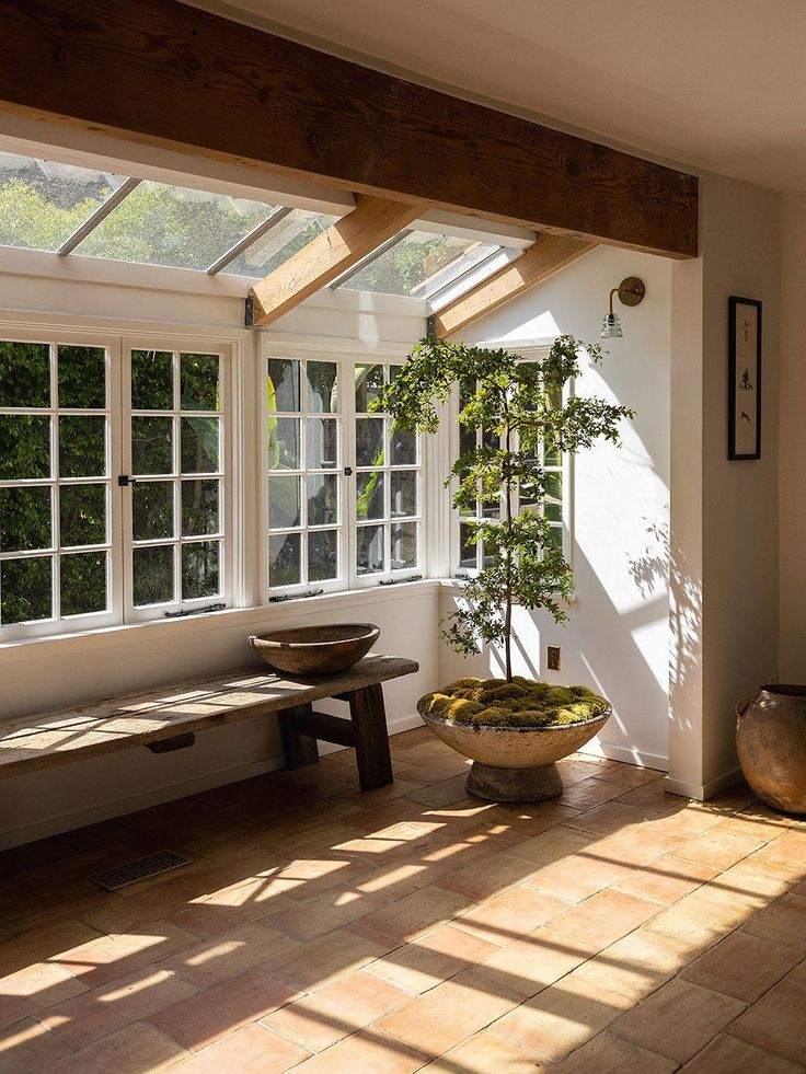 the sun shines through two large windows into a room with a bench and potted plant