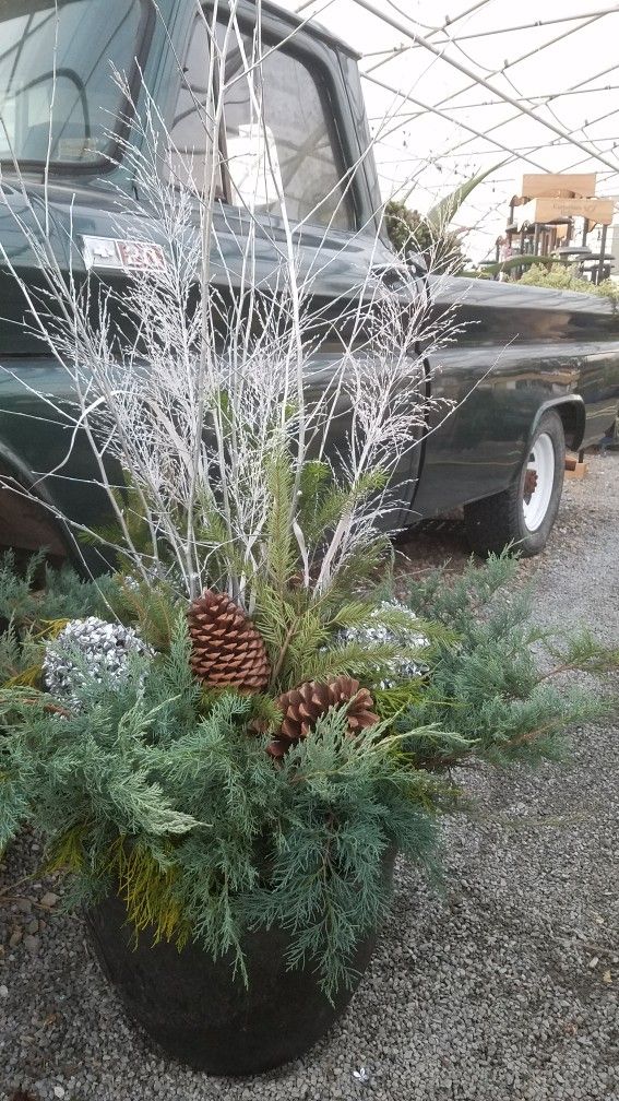 an old pick up truck parked next to a planter filled with pine cones