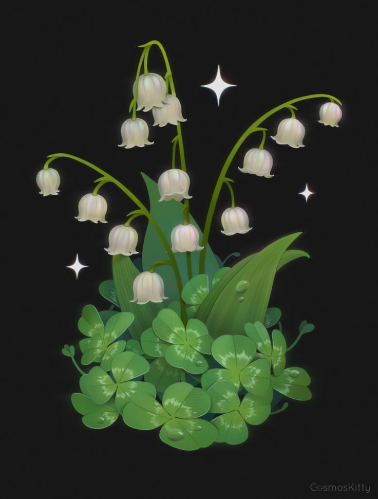 lily of the valley flowers and green leaves on a black background