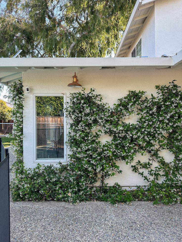 a white house covered in ivy next to a black gate and window with a light on it