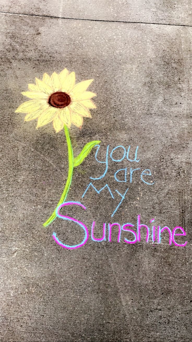 a yellow flower with the words you are my sunshine written in chalk next to it