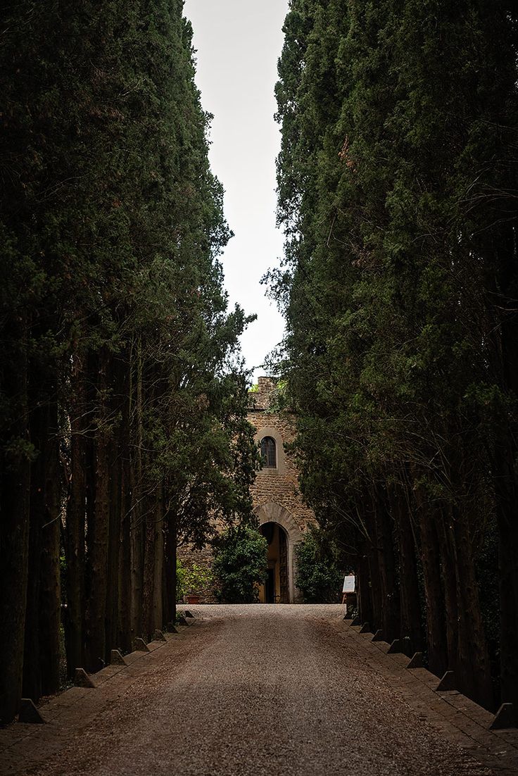 an empty road surrounded by tall trees with a clock tower in the distance