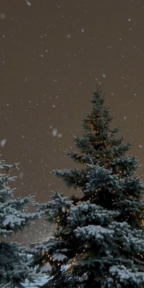 a snow covered pine tree in front of a snowy night sky with lights on it