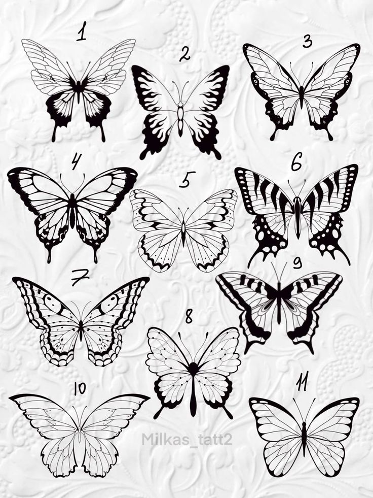 butterflies are shown in black and white, with the numbers on each one's wings