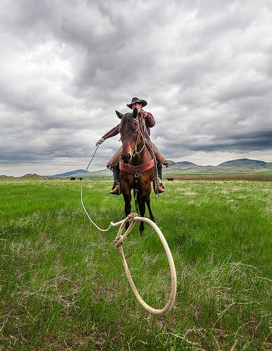 a man riding on the back of a brown horse across a lush green grass covered field