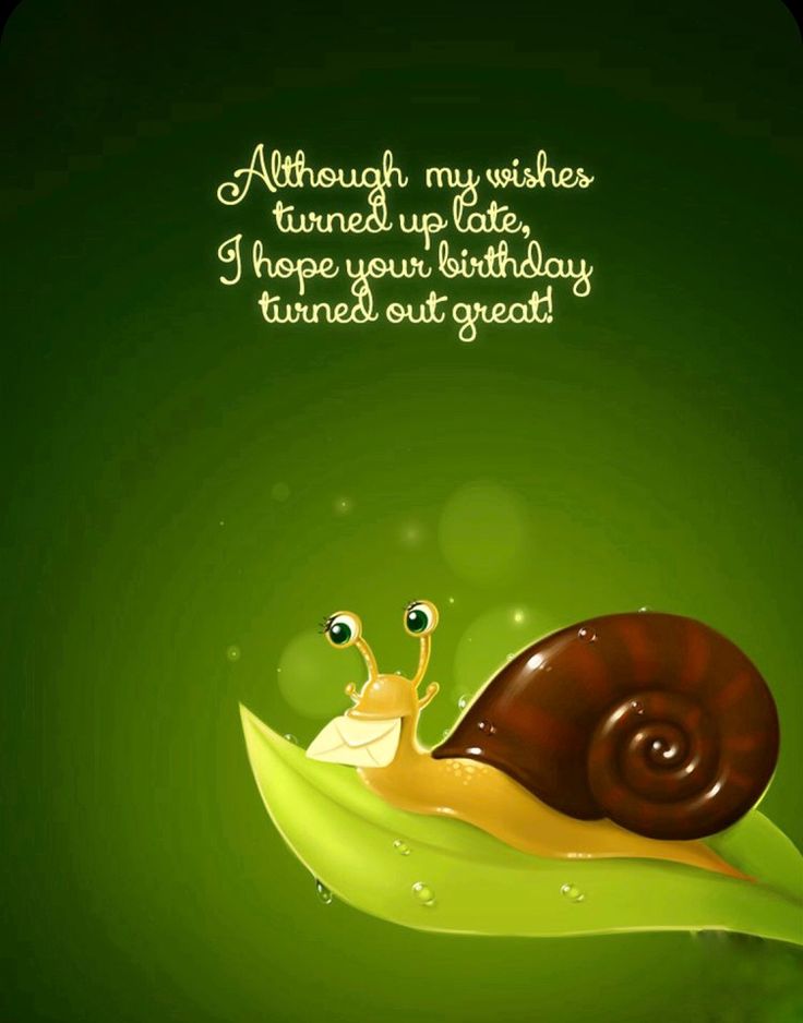 a snail is sitting on top of a green leaf with the words, although my wishes turned up late i hope your birthday time's our great