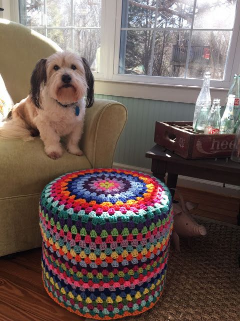 a dog sitting on a chair next to a colorful crocheted poufce