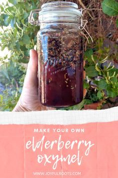 a person holding up a mason jar filled with elderberry ojnel and herbs