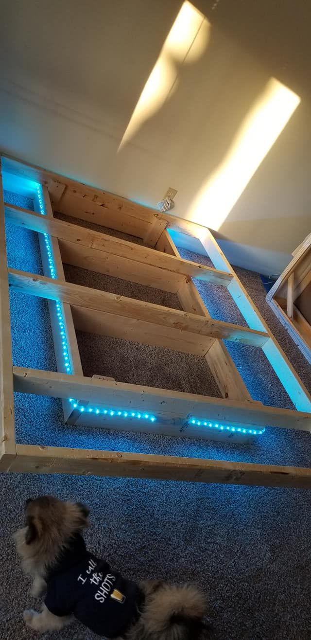 a dog laying on the floor in front of a bed frame with blue leds