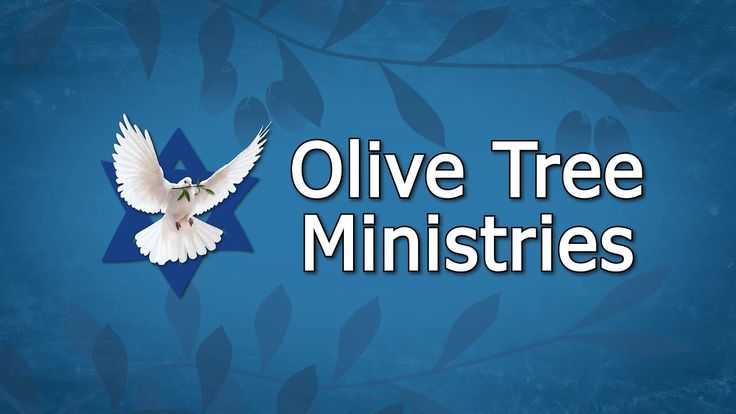 an image of a dove with the words olive tree minnisties