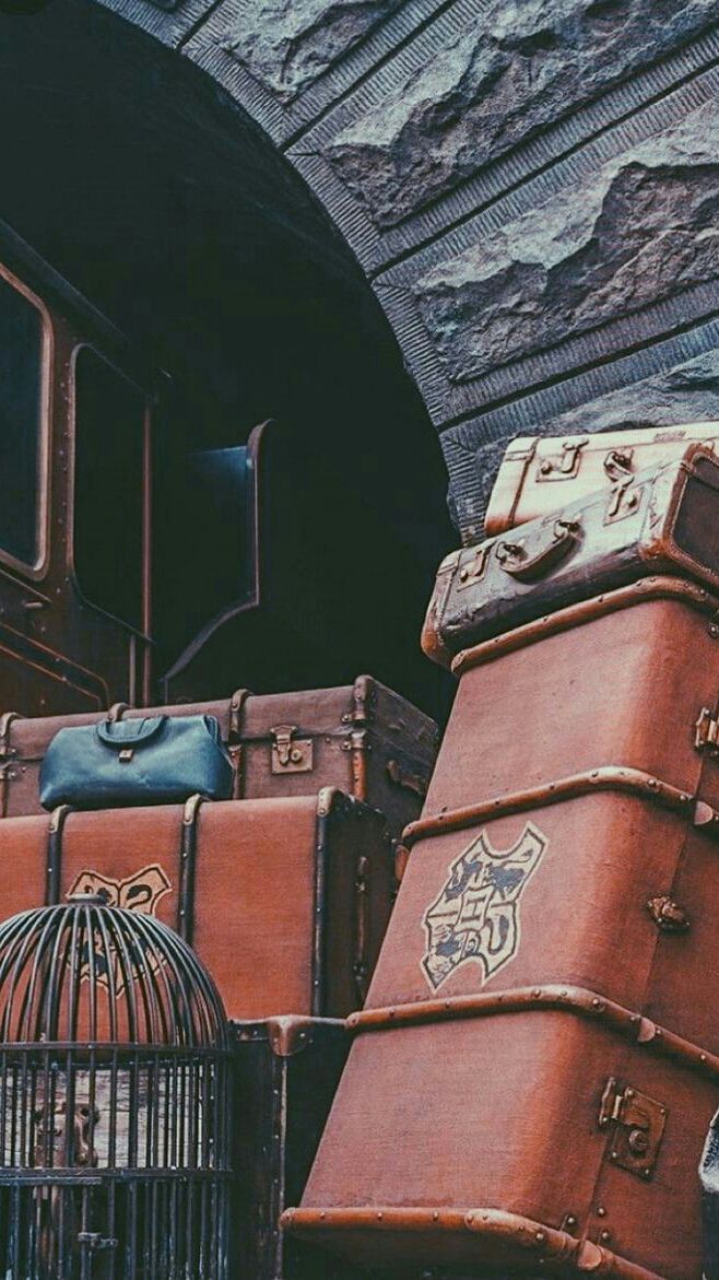 several pieces of luggage sitting next to each other in front of a stone tunnel with a birdcage