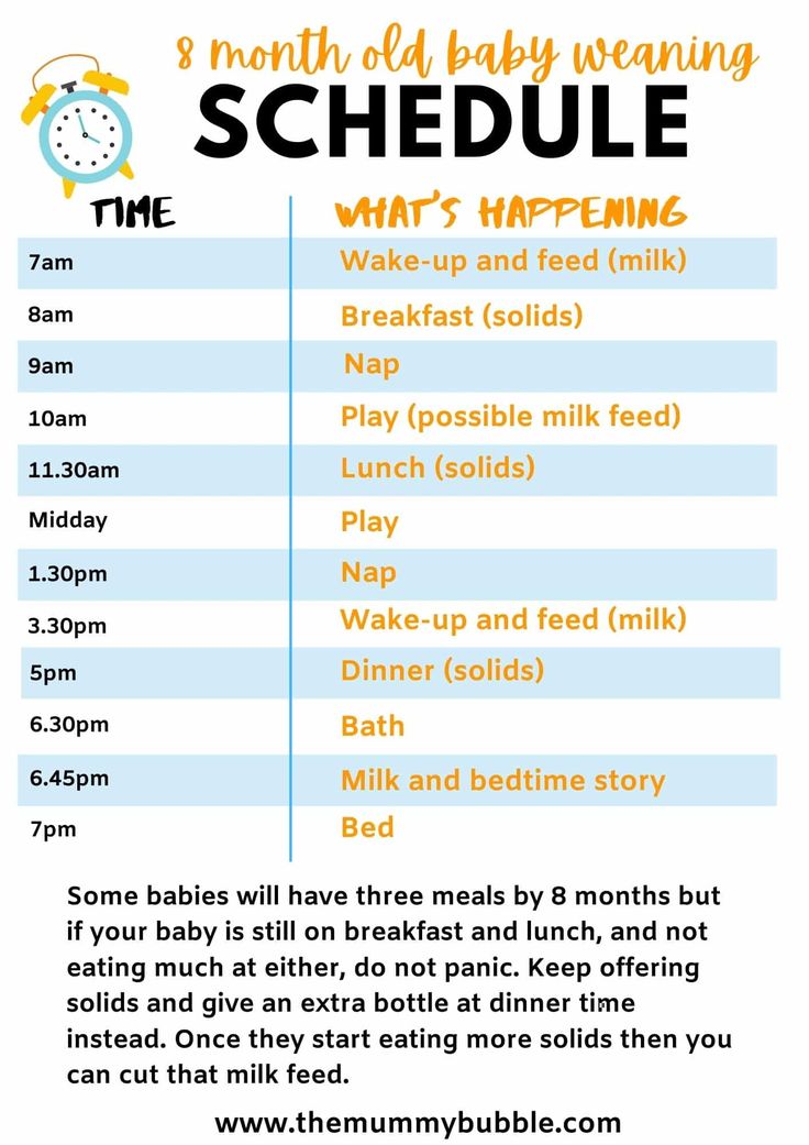 a flyer for the baby's schedule