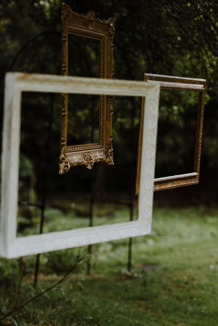 two mirrors hanging from the side of a tree in front of some grass and trees