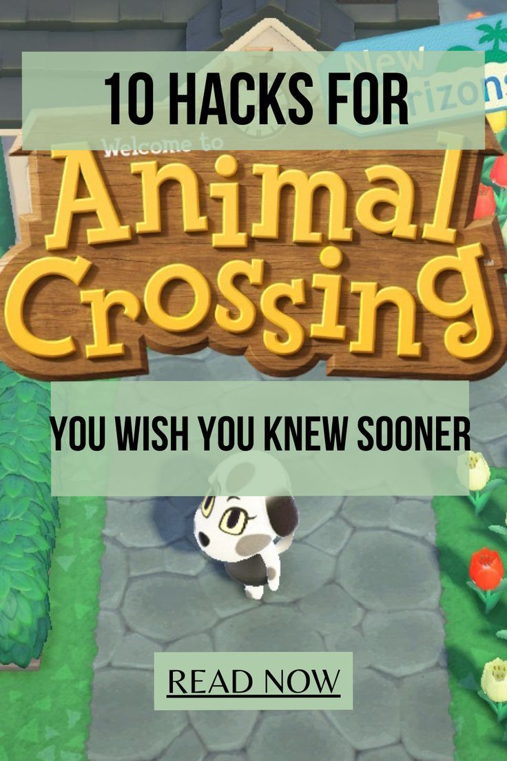 10 Hacks for the game Animal Crossing New Horizons game you wish you knew sooner on the Zillennial Zine Animal Crossing Castle Wall Ideas, Acnh Interior Design Ideas, Acnh Level Ideas, Custom Design Codes Animal Crossing, Acnh Island Designs Beginner, Acnh Island Designs Cottagecore Codes, Animals Crossing Island Ideas, Villager Ideas Animal Crossing, Animal Island Ideas