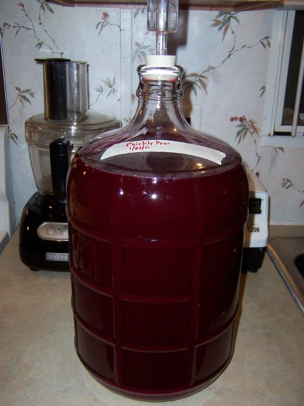 a large jug sitting on top of a counter