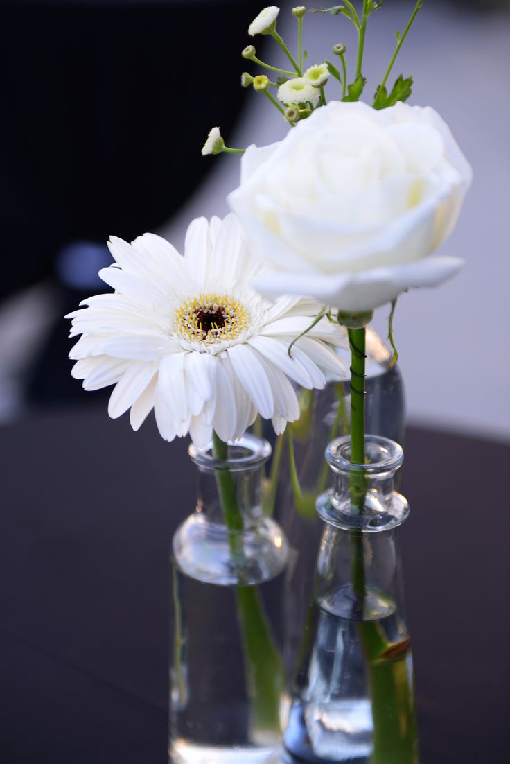 three clear vases with white flowers in them