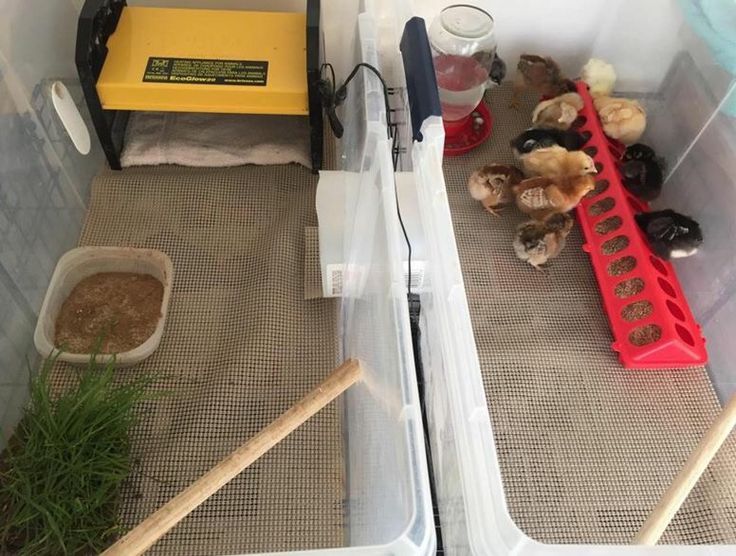 two bins filled with food next to each other on the floor in a room